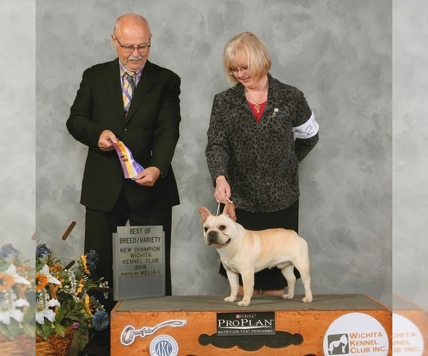 Medium Photo #1  Breeder Profile in WEST PLAINS, MO, USA