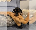 Small #7 Breeder Profile image