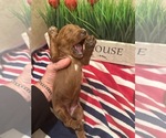 Small #5 Breeder Profile image