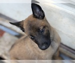 Small #4 Breeder Profile image