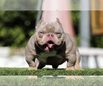 Small #4 Breeder Profile image