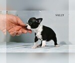 Small #1 Breeder Profile image