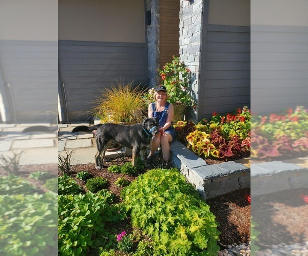Medium Photo #1  Breeder Profile in CANYONVILLE, OR, USA