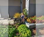 Small Photo #1  Breeder Profile in CANYONVILLE, OR, USA