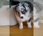 Small #5 Breeder Profile image