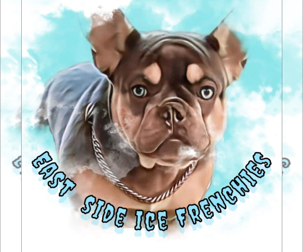 Medium Photo #1  Breeder Profile in NEW MILFORD, CT, USA