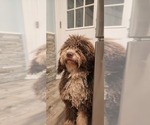 Small #14 Breeder Profile image