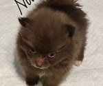 Small #11 Breeder Profile image