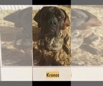 Small #3 Breeder Profile image