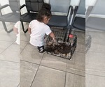 Small #2 Breeder Profile image