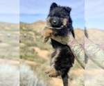 Small #2 Breeder Profile image