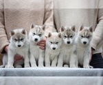 Small #14 Breeder Profile image