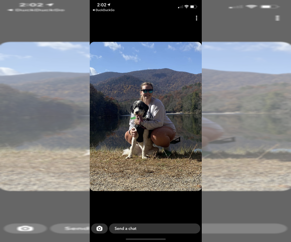 Medium Photo #1  Breeder Profile in BLACKVILLE, SC, USA