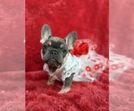 Small #24 Breeder Profile image