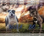 Small #3 Breeder Profile image