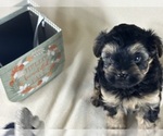 Small #31 Breeder Profile image