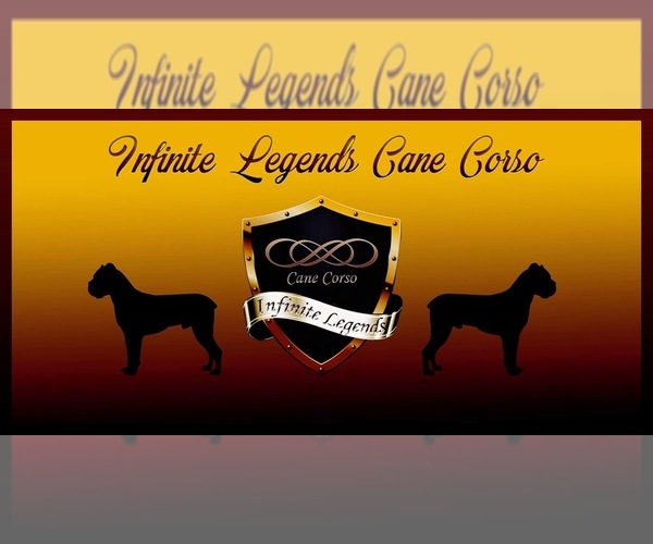 Medium Photo #1  Breeder Profile in SUFFOLK, VA, USA