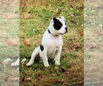 Small #32 Breeder Profile image