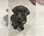 Small #15 Breeder Profile image