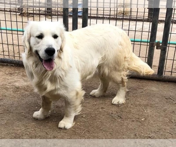 Medium Photo #3  Breeder Profile in PRITCHETT, CO, USA
