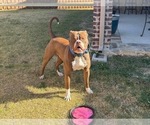 Small #31 Breeder Profile image