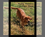 Small #9 Breeder Profile image