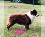 Small #13 Breeder Profile image