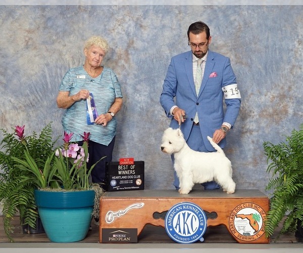 Medium Photo #1  Breeder Profile in BATESVILLE, MS, USA