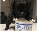 Small #24 Breeder Profile image