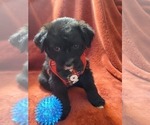Small #20 Breeder Profile image