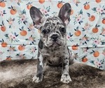 Small #5 Breeder Profile image