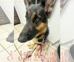 Small #28 Breeder Profile image