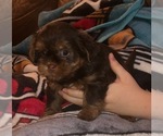 Small #21 Breeder Profile image