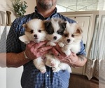 Small #15 Breeder Profile image