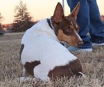 Small #7 Breeder Profile image