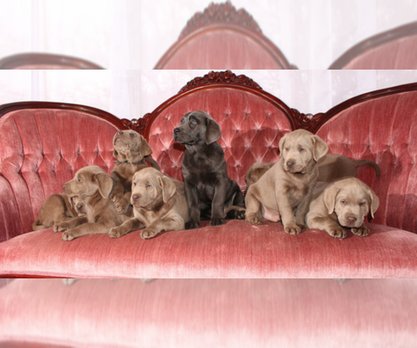 Medium Photo #1  Breeder Profile in MERIDIAN, TX, USA