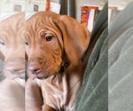 Small #12 Breeder Profile image
