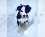 Small #6 Breeder Profile image