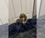 Small #3 Breeder Profile image