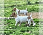 Small #13 Breeder Profile image
