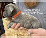 Small #8 Breeder Profile image
