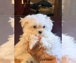 Small #5 Breeder Profile image