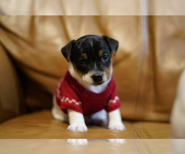 Medium Photo #2  Breeder Profile in BELLVILLE, TX, USA