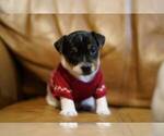 Small #1 Breeder Profile image