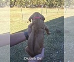 Small #38 Breeder Profile image