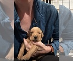 Small #34 Breeder Profile image