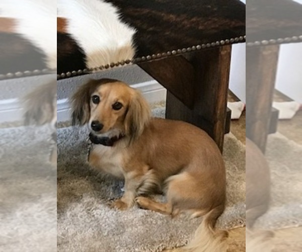 Medium Photo #1  Breeder Profile in HEMPSTEAD, TX, USA