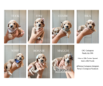 Small breeder photo