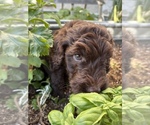 Small #2 Breeder Profile image