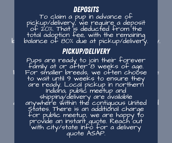 Medium Photo #5  Breeder Profile in GOSHEN, IN, USA